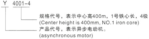 西安泰富西玛Y系列(H355-1000)高压YJTG-132M-4A/7.5KW三相异步电机型号说明