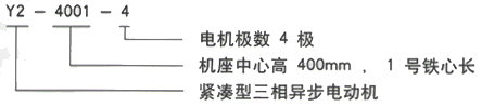 YR系列(H355-1000)高压YJTG-132M-4A/7.5KW三相异步电机西安西玛电机型号说明